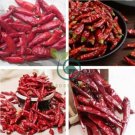 Sichuan Red Dried Chili 400 Seeds