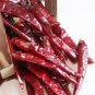 Sichuan Red Dried Chili 400 Seeds