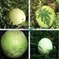 Rare Heirloom White Skin Red Inside Sweet Watermelon 40 Seeds