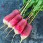 Sausage Radish Seeds Balcony Potted Vegetable Fruit Belle Radish 70 Seeds