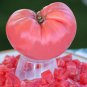 Big Pink Dwarf Tomato Organic 600 Seeds