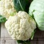 Natural Health White Broccoli Cauliflower 100 Seeds