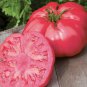 Hybrid Rose Pink Big Tomato 200 Seeds