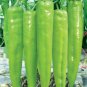 Light Green Long 'Sheep Horn' Sweet Pepper Vegetable F1 40 Seeds