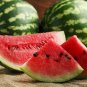 Big Long Red Sweet Seedless Watermelon Organic Heirloom 40 Seeds