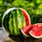 Big Long Red Sweet Seedless Watermelon Organic Heirloom 40 Seeds