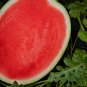 Big Long Red Sweet Seedless Watermelon Organic Heirloom 40 Seeds