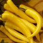 Organic Vegetables Yellow Peppers 40 Seeds
