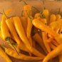 Organic Vegetables Yellow Peppers 40 Seeds
