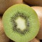 Exotic Fruits Hardy Kiwi Vine Fruit Delicious Fruits 60 Seeds