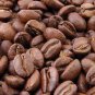 Coffee Bean 20 Seeds