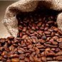 Coffee Bean 20 Seeds