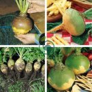 Swede 'Wilhelmsburger' Rutabaga Green Top Vegetables 400 Seeds