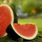Dark Green Seedless Watermelon Red Inside Fruits 10 Seeds