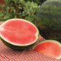 Dark Green Seedless Watermelon Red Inside Fruits 10 Seeds