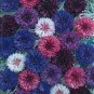 Polka Dot Mix Cornflower 200 Seeds