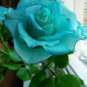 Rare Bright Green Rose Flowers 100 Seeds