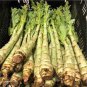 Heirloom Red Skin Asparagus Lettuce Vegetables 60 Seeds