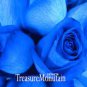 Blue Rose Fragrant Gardens Flowering Plants 300 Seeds
