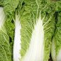 Chinese Cabbage Heirloom 200 Seeds