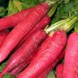 Carrot Heirloom Blood Red Vegetables 200 Seeds