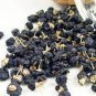 Black Goji Qinghai Heirloom Herbs 40 Seeds
