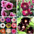 Double Hollyhock Flower Bonsai, Mixed Perennial Home 200 Seeds