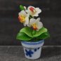 Mini Phalaenopsis Flower 200 Seeds