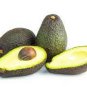 Avocado  Green Fruit Very Delicious Persea Americana 20 Seeds