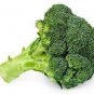 Natural Organic Broccoli Vegetable 120 Seeds
