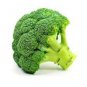 Natural Organic Broccoli Vegetable 120 Seeds