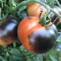 Heirloom Rare Green 'Luo Cheng' Middle Tomato Organic 600 Seeds