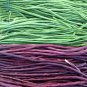 Vigna sinensis Seeds Yard Long Bean Mixed Red and Green 200 seeds