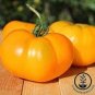 Heirloom Big Yellow Tomato 'Peking 156' Organic 600 Seeds