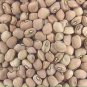 American No-bracket Cowpea 120 Seeds