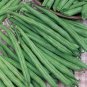 American No-bracket Cowpea 120 Seeds
