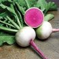 Green Radish 100 Seeds