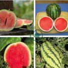 Green Skin Long Sweet Red Watermelon 'Wu Gu' Organic 40 Seeds