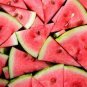 Color Skin Red Inside Middle Sweet Juicy Watermelon 'Ling Long Ha' 40 seeds