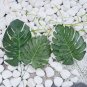 Palm Turtle Leaves 200 Seeds
