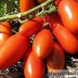 Red Banana Tomato 40 Seeds
