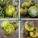Rare Heirloom Yellow Tomato with Green Stripe Organic 40 Seeds