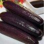 Purple Black Japanese Long Cucumber 40 Seeds