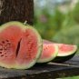Green Skin Red Sweet Watermelon 'Twins' Organic 40 Seeds