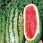 Green Skin Red Sweet Watermelon 'Twins' Organic 40 Seeds