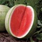 Very Sweet Big Round Red Watermelon Tree F2 40 Seeds