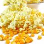 Organic Popcorn 60 Seeds