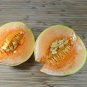Heirloom White Sticky Sweet Melon 400 Seeds