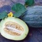 Heirloom White Sticky Sweet Melon 400 Seeds
