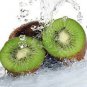 Mini Small Middle Large Chinese Gooseberry Kiwifruit Organic + Hybrid 100 Seeds